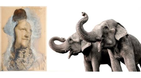 Capture Festival — Exploring Photo-based Art