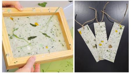 Bookmark Making with Invasive Plants