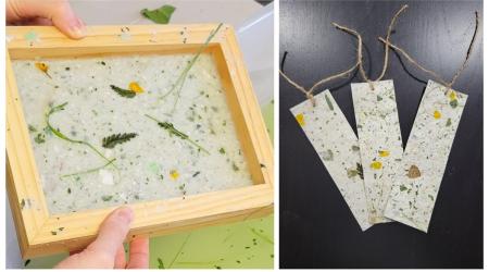 Workshop: Making Paper Bookmarks with Invasive Plants